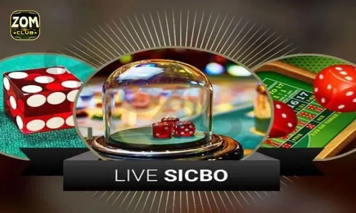Casino Live Zomclub Khám phá Sicbo Livestream đầy thử thách tại Zomclub